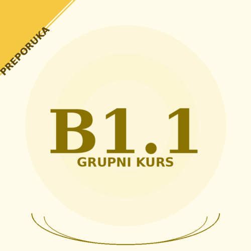 Grupni kurs nemačkog jezika B1.1
